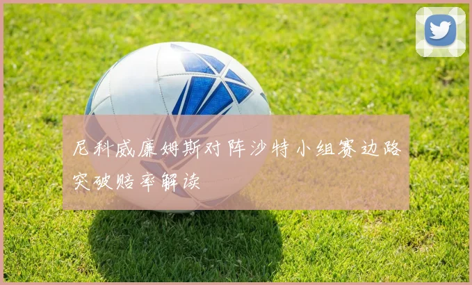 尼科威廉姆斯对阵沙特小组赛边路突破赔率解读