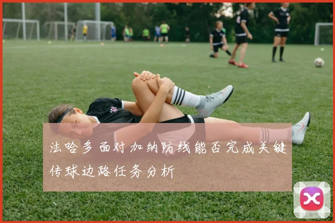 法哈多面对加纳防线能否完成关键传球边路任务分析